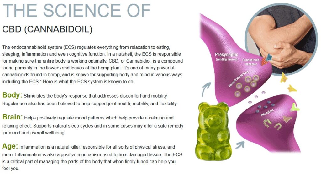 Can CBD Gummies help with quitting smoking?